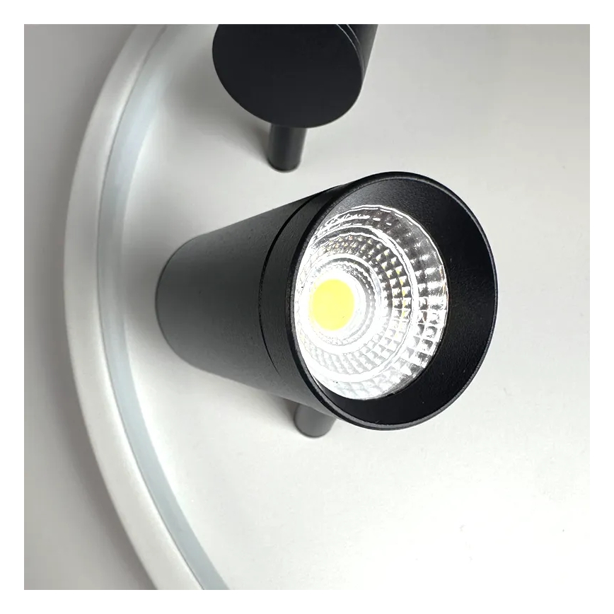 LED Stmievateľné stropné svietidlo LED/65W/230V 3000-6500K biela + diaľkové ovládanie