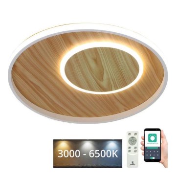 LED Stmievateľné stropné svietidlo LED/65W/230V 3000-6500K hnedá +diaľkové ovládanie