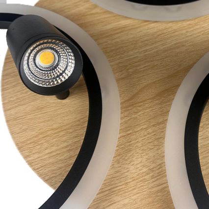 LED Stmievateľné stropné svietidlo LED/70W/230V 3000-6500K čierna/hnedá + diaľkové ovládanie