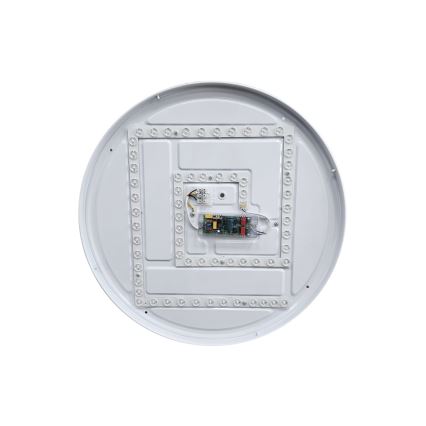 LED Stmievateľné stropné svietidlo LIKA LED/36W/230V 2700-6500K pr. 48 cm + diaľkové ovládanie