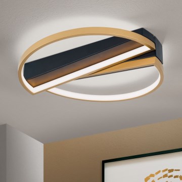 LED Stmievateľné stropné svietidlo OLGA LED/28W/230V zlatá/čierna
