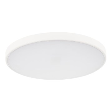 LED Stmievateľné stropné svietidlo PLAFON LED/20W/230V 3000-6500K Wi-Fi biela