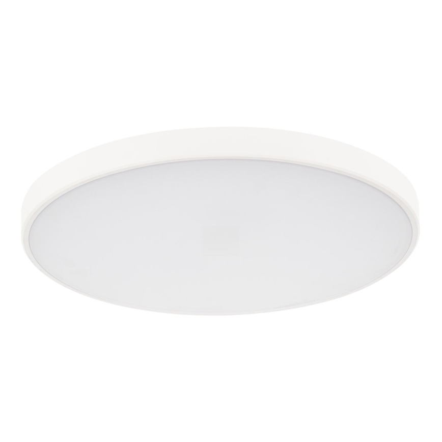 LED Stmievateľné stropné svietidlo PLAFON LED/20W/230V 3000-6500K Wi-Fi biela