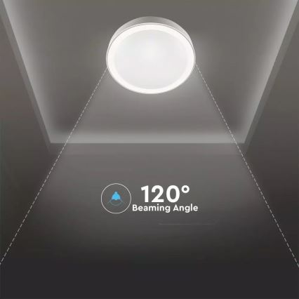 LED Stmievateľné stropné svietidlo s diaľkovým ovládačom LED/60W/230V pr. 50cm