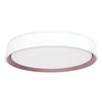 LED Stmievateľné stropné svietidlo s hlasovým ovládaním OPAL LED/48W/230V 2700-6500K biela + diaľkové ovládanie