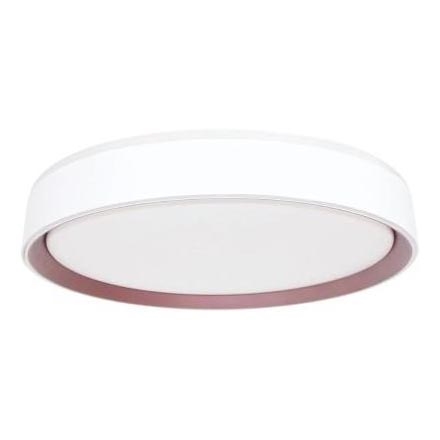 LED Stmievateľné stropné svietidlo s hlasovým ovládaním OPAL LED/48W/230V 2700-6500K biela + diaľkové ovládanie