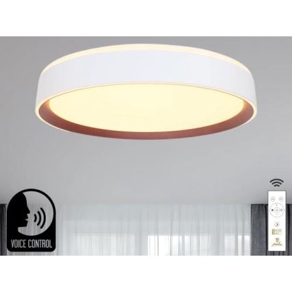 LED Stmievateľné stropné svietidlo s hlasovým ovládaním OPAL LED/48W/230V 2700-6500K biela + diaľkové ovládanie