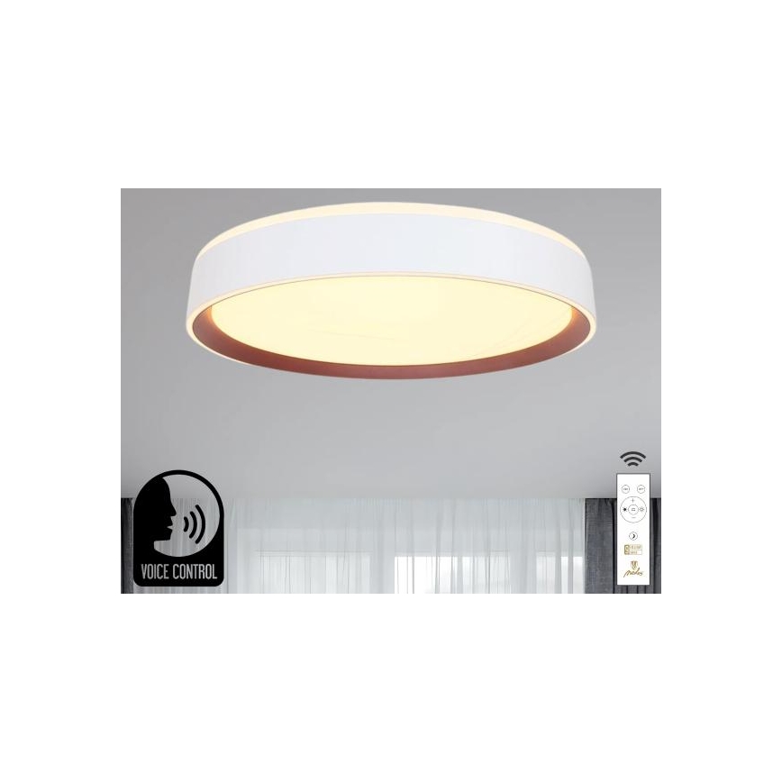 LED Stmievateľné stropné svietidlo s hlasovým ovládaním OPAL LED/48W/230V 2700-6500K biela + diaľkové ovládanie