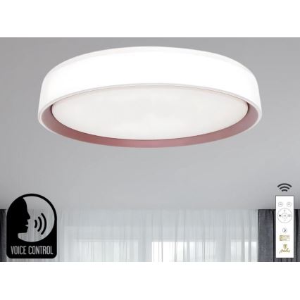 LED Stmievateľné stropné svietidlo s hlasovým ovládaním OPAL LED/48W/230V 2700-6500K biela + diaľkové ovládanie