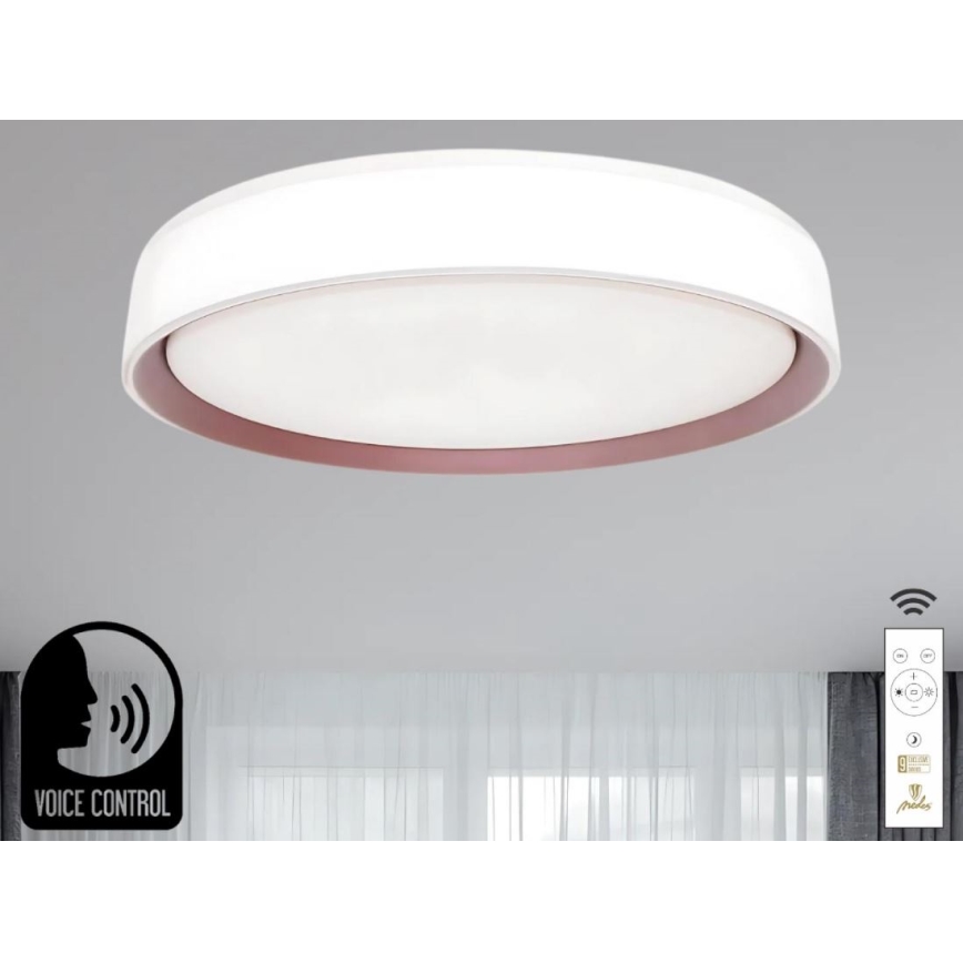 LED Stmievateľné stropné svietidlo s hlasovým ovládaním OPAL LED/48W/230V 2700-6500K biela + diaľkové ovládanie