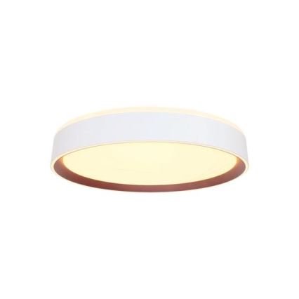 LED Stmievateľné stropné svietidlo s hlasovým ovládaním OPAL LED/48W/230V 2700-6500K biela + diaľkové ovládanie