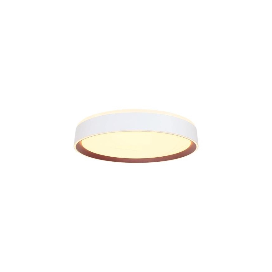 LED Stmievateľné stropné svietidlo s hlasovým ovládaním OPAL LED/48W/230V 2700-6500K biela + diaľkové ovládanie