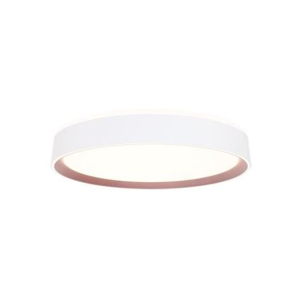 LED Stmievateľné stropné svietidlo s hlasovým ovládaním OPAL LED/48W/230V 2700-6500K biela + diaľkové ovládanie