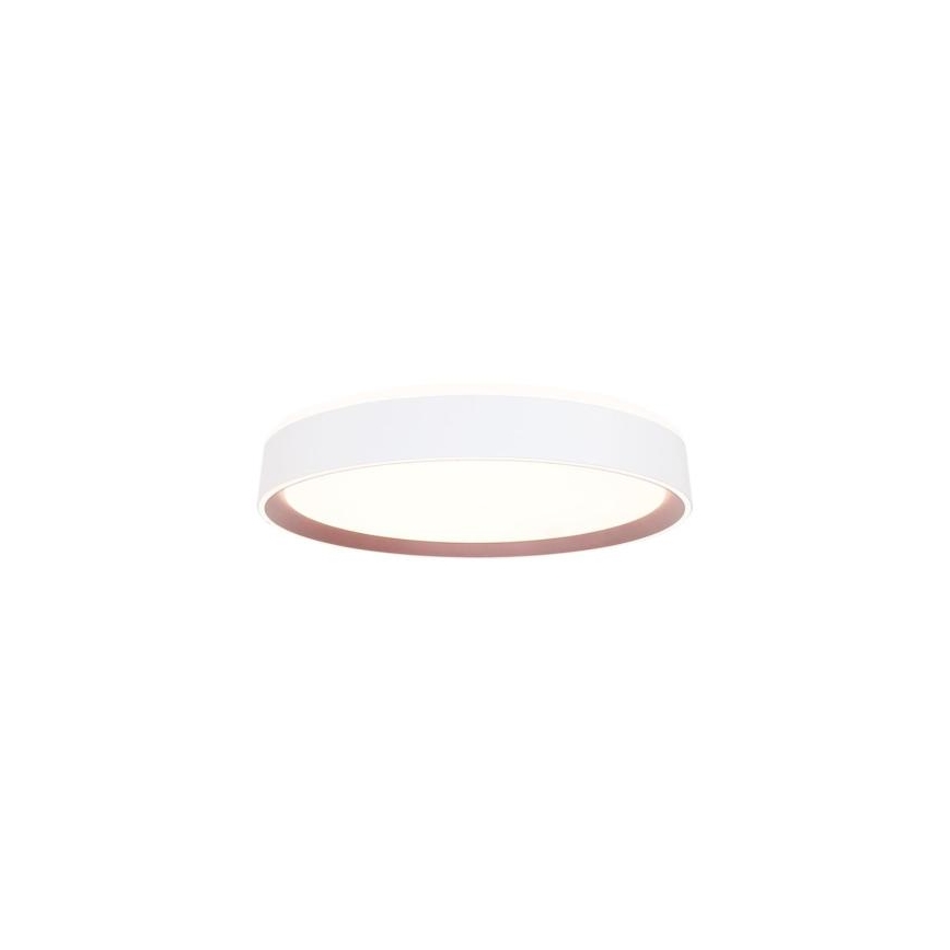 LED Stmievateľné stropné svietidlo s hlasovým ovládaním OPAL LED/48W/230V 2700-6500K biela + diaľkové ovládanie