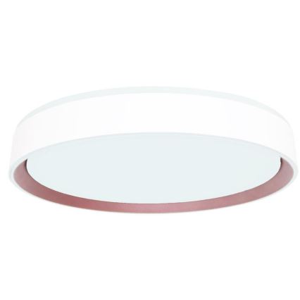 LED Stmievateľné stropné svietidlo s hlasovým ovládaním OPAL LED/48W/230V 2700-6500K biela + diaľkové ovládanie