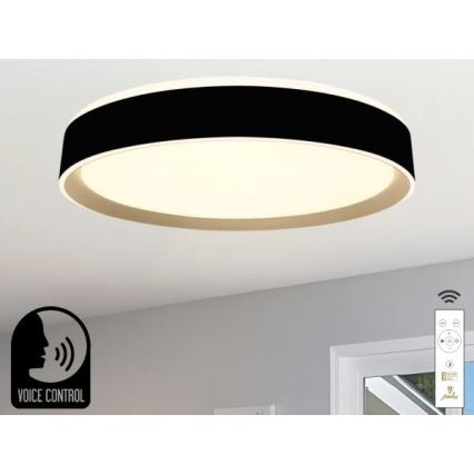 LED Stmievateľné stropné svietidlo s hlasovým ovládaním OPAL LED/48W/230V 2700-6500K čierna + diaľkové ovládanie