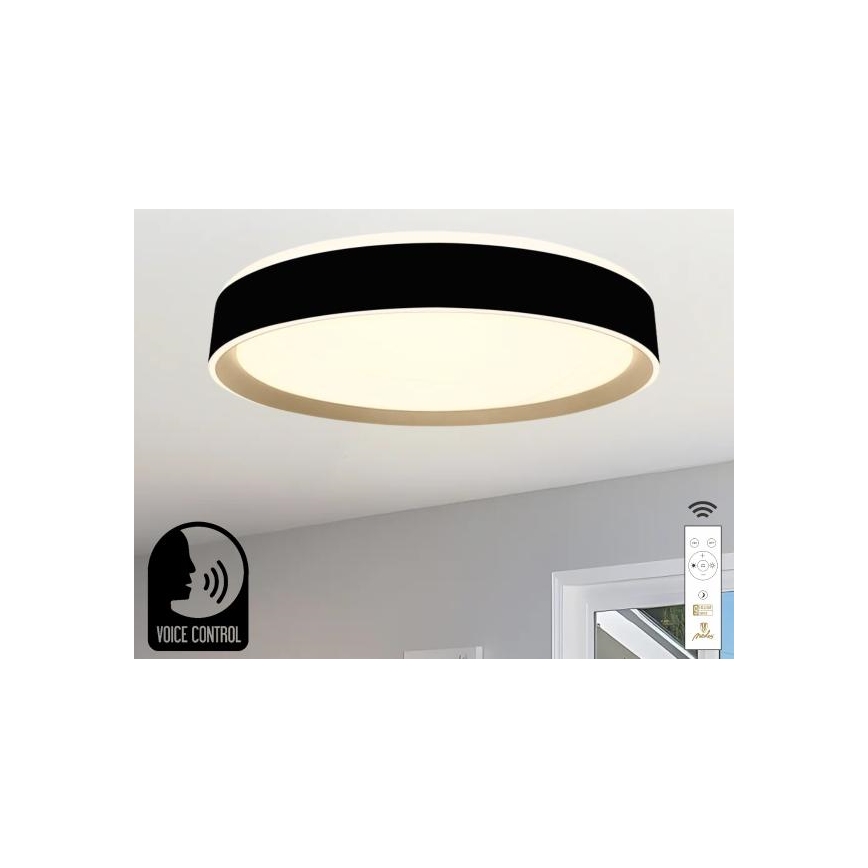 LED Stmievateľné stropné svietidlo s hlasovým ovládaním OPAL LED/48W/230V 2700-6500K čierna + diaľkové ovládanie