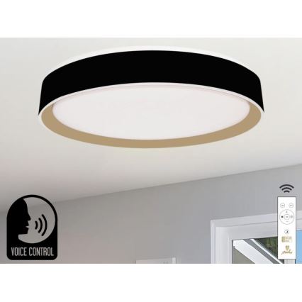 LED Stmievateľné stropné svietidlo s hlasovým ovládaním OPAL LED/48W/230V 2700-6500K čierna + diaľkové ovládanie