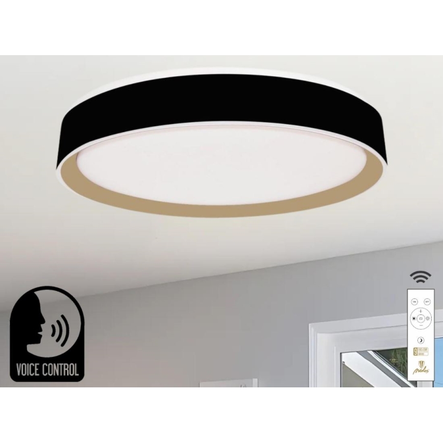 LED Stmievateľné stropné svietidlo s hlasovým ovládaním OPAL LED/48W/230V 2700-6500K čierna + diaľkové ovládanie