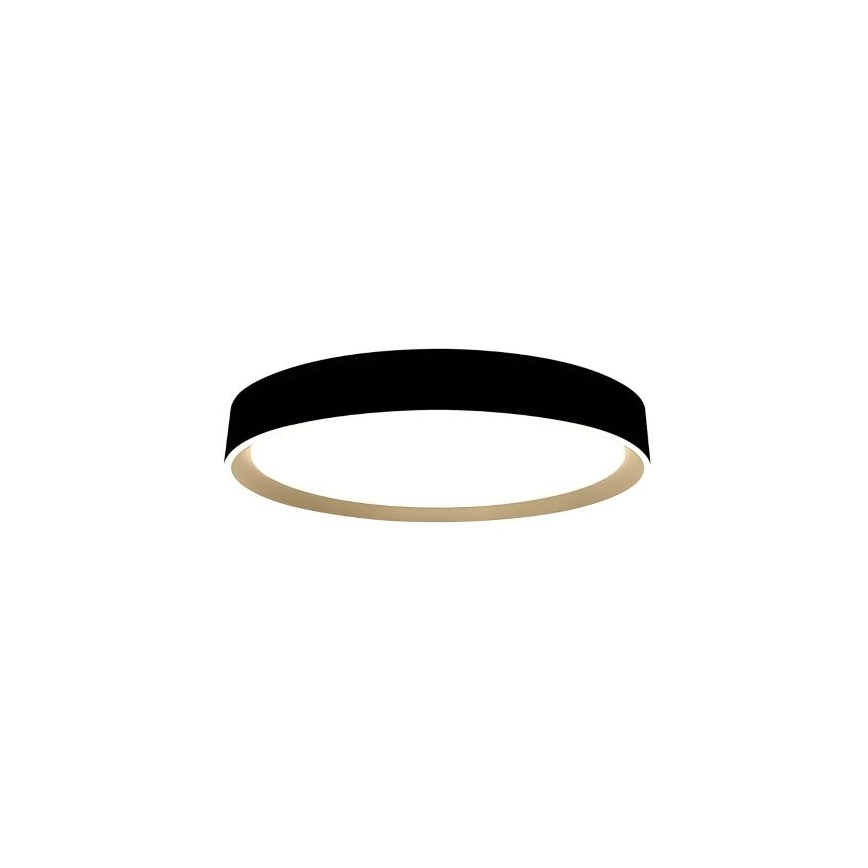 LED Stmievateľné stropné svietidlo s hlasovým ovládaním OPAL LED/48W/230V 2700-6500K čierna + diaľkové ovládanie