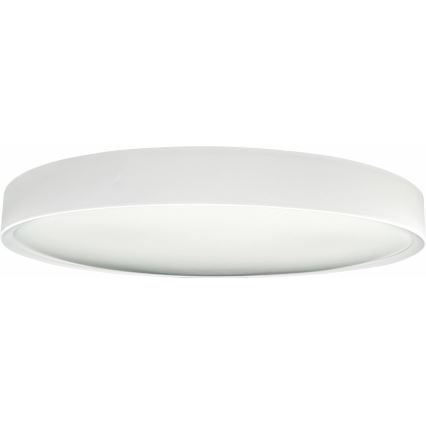 LED Stmievateľné stropné svietidlo SAMER LED/40W/230V 2900-6000K + diaľkové ovládanie