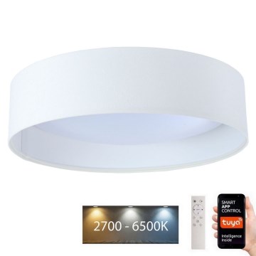 LED Stmievateľné stropné svietidlo SMART GALAXY LED/36W/230V pr. 55 cm Wi-Fi Tuya biela + diaľkové ovládanie