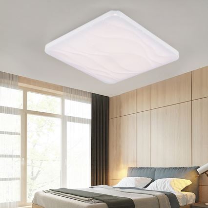 Nedes LC801W/S - LED Stropné svietidlo LC8 LED/50W/230V