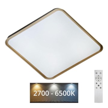 LED Stmievateľné stropné svietidlo UNA LED/60W/230V 2700-6500K 50x50 cm + diaľkové ovládanie