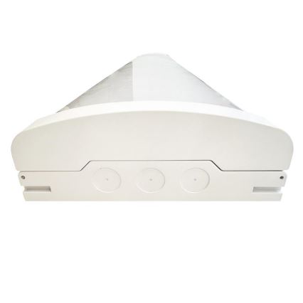LED Stmievateľné žiarivkové svietidlo LED/35W/44W/52W/60W/230V 4000K 120 cm