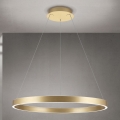 LED Stmievateľný luster na lane KOLK LED/80W/230V 2700/3000/4000K priemer 80 cm zlatá