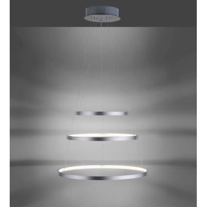 Leuchten Direkt 11526-55 - LED Stmievateľný luster na lanku CIRCLE 1xLED/13,5W/230V + LED/19,5W + LED/24W