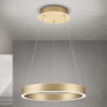 LED stmievateľný luster na lanku KOLK LED/40W/230V 2700/3000/4000K pr. 40 cm zlatá