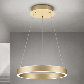 LED stmievateľný luster na lanku KOLK LED/40W/230V 2700/3000/4000K pr. 40 cm zlatá