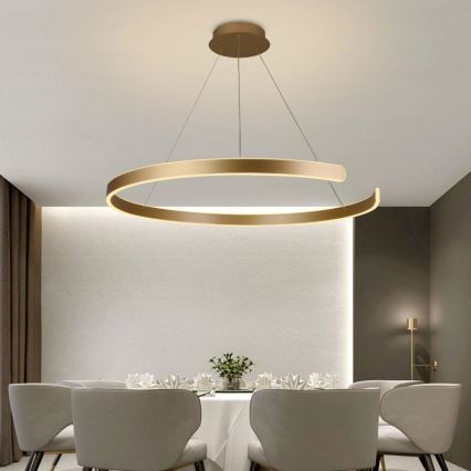 LED Stmievateľný luster na lanku LED/100W/230V 3000-6500K pr. 80 cm + diaľkové ovládanie