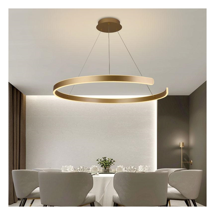 LED Stmievateľný luster na lanku LED/100W/230V 3000-6500K pr. 80 cm + diaľkové ovládanie