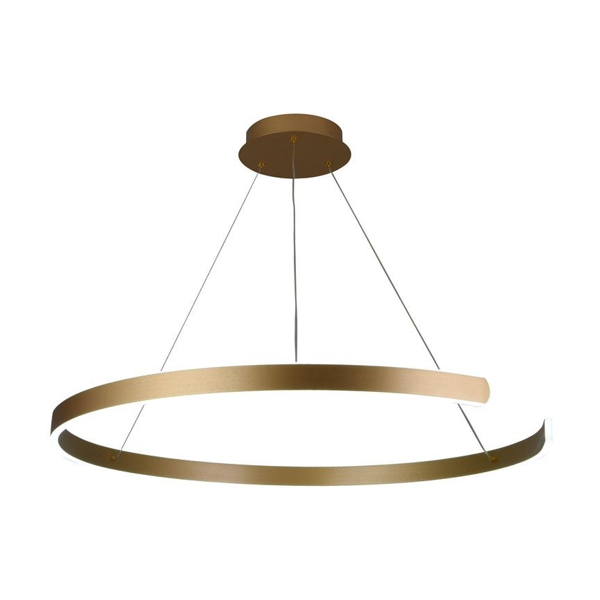 LED Stmievateľný luster na lanku LED/100W/230V 3000-6500K pr. 80 cm + diaľkové ovládanie