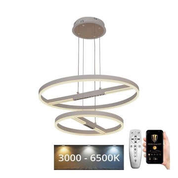 LED Stmievateľný luster na lanku LED/100W/230V 3000-6500K pr. 60 cm + diaľkové ovládanie