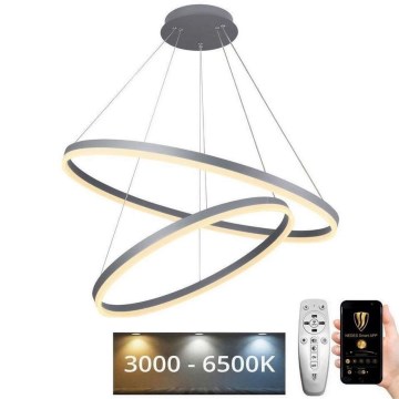 LED Stmievateľný luster na lanku LED/100W/230V 3000-6500K pr. 80 cm + diaľkové ovládanie