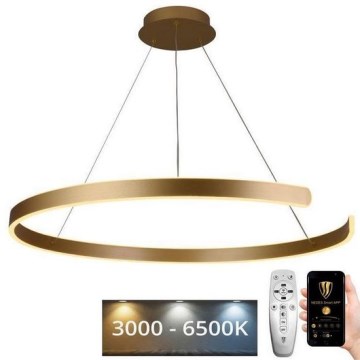 LED Stmievateľný luster na lanku LED/100W/230V 3000-6500K pr. 80 cm + diaľkové ovládanie