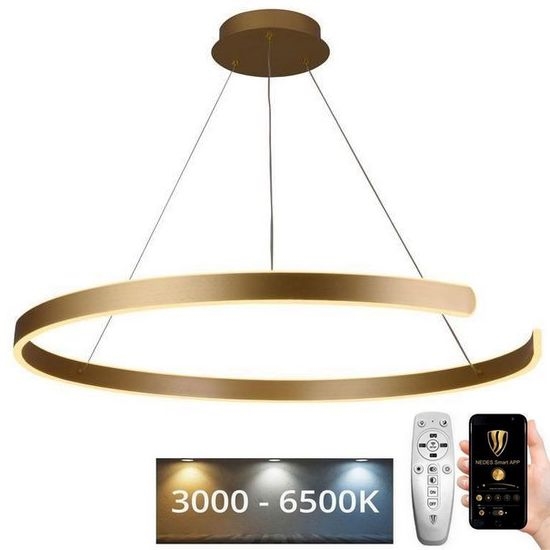LED Stmievateľný luster na lanku LED/100W/230V 3000-6500K pr. 80 cm + diaľkové ovládanie