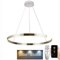 LED Stmievateľný luster na lanku LED/100W/230V 3000-6500K pr. 80 cm + diaľkové ovládanie