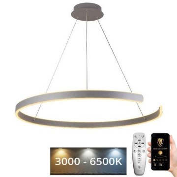LED Stmievateľný luster na lanku LED/100W/230V 3000-6500K pr. 80 cm + diaľkové ovládanie