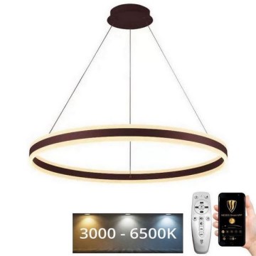 LED Stmievateľný luster na lanku LED/110W/230V 3000-6500K + diaľkové ovládanie