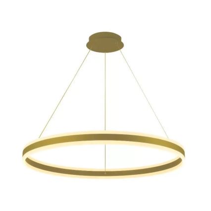 LED Stmievateľný luster na lanku LED/110W/230V 3000-6500K pr. 80 cm + diaľkové ovládanie