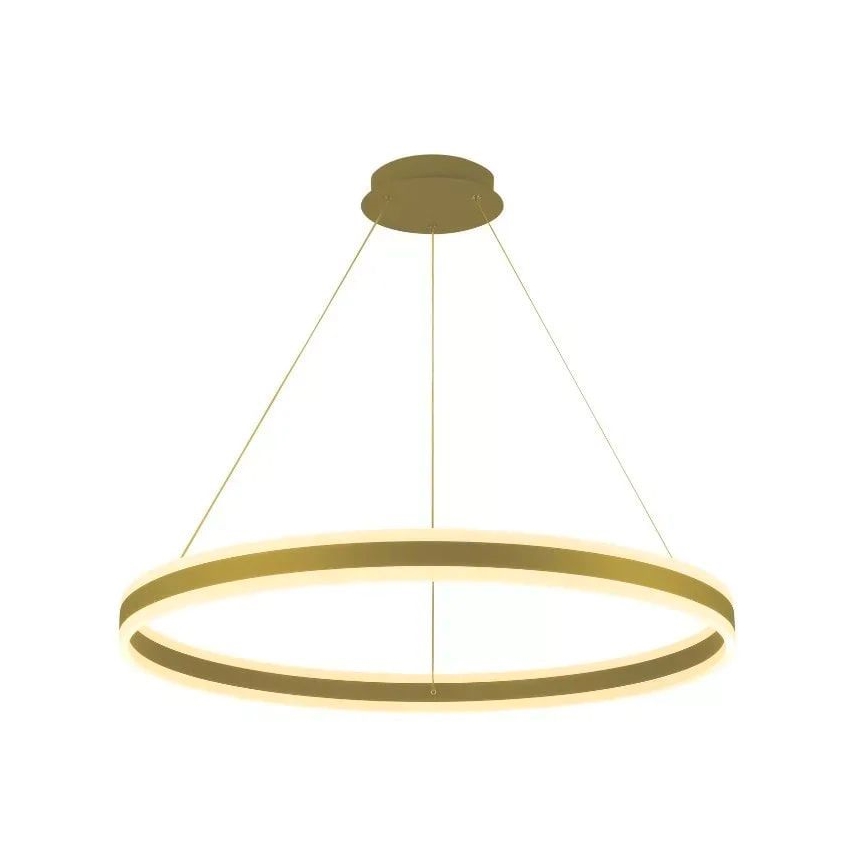 LED Stmievateľný luster na lanku LED/110W/230V 3000-6500K pr. 80 cm + diaľkové ovládanie