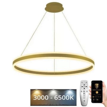 LED Stmievateľný luster na lanku LED/110W/230V 3000-6500K pr. 80 cm + diaľkové ovládanie