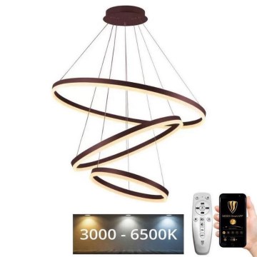 LED Stmievateľný luster na lanku LED/125W/230V 3000-6500K pr. 80 cm + diaľkové ovládanie