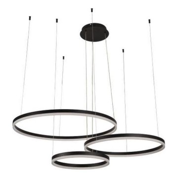 LED Stmievateľný luster na lanku LED/125W/230V 3000-6500K pr. 80 cm + diaľkové ovládanie