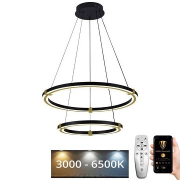 LED Stmievateľný luster na lanku LED/130W/230V 3000-6500K pr. 60 cm + diaľkové ovládanie