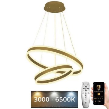 LED Stmievateľný luster na lanku LED/135W/230V 3000-6500K pr. 60 cm + diaľkové ovládanie